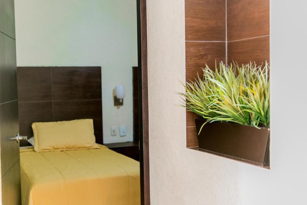 Coral Pacifico Hotel Y Villas 曼萨尼约 客房 照片